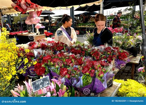 shoppers flowers